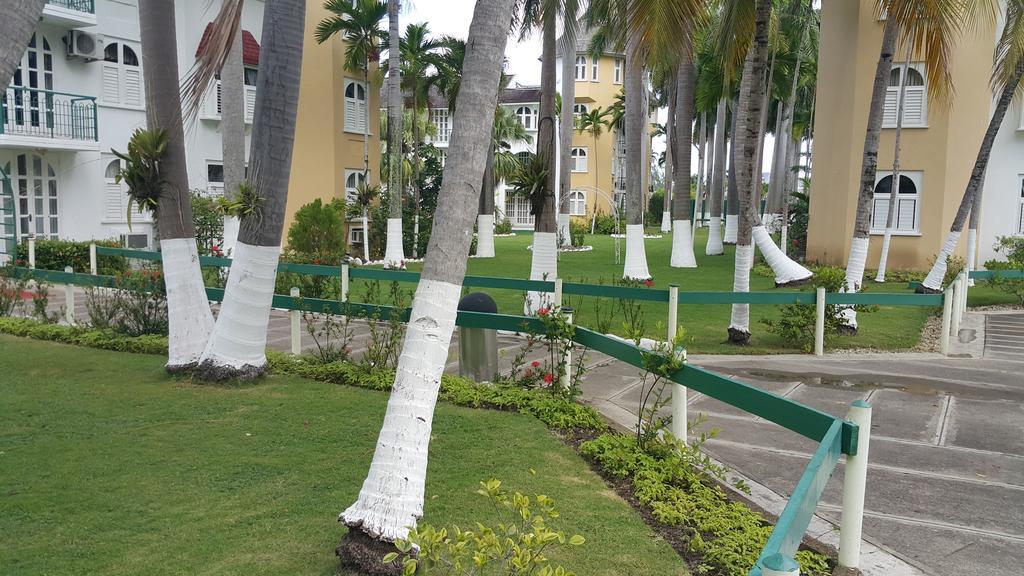 Studio 27 Ocho Rios Ngoại thất bức ảnh